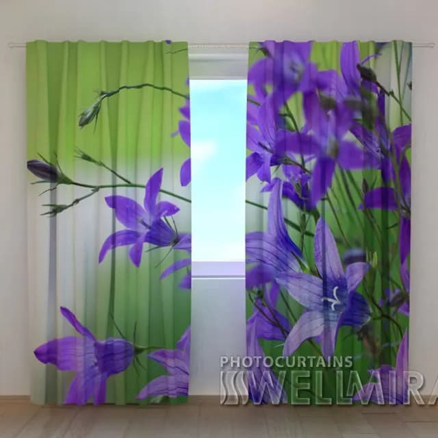 Fotogardin Blå klockblommor