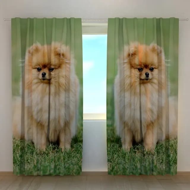 {product_name}