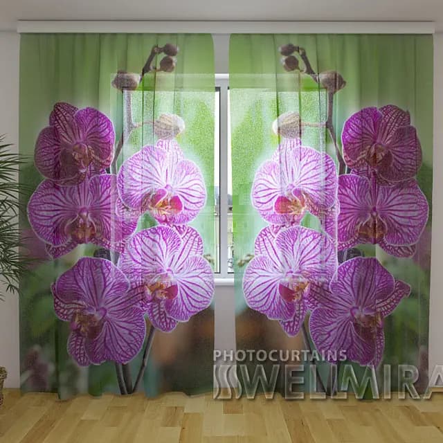Fotogardin Babylonorkidé