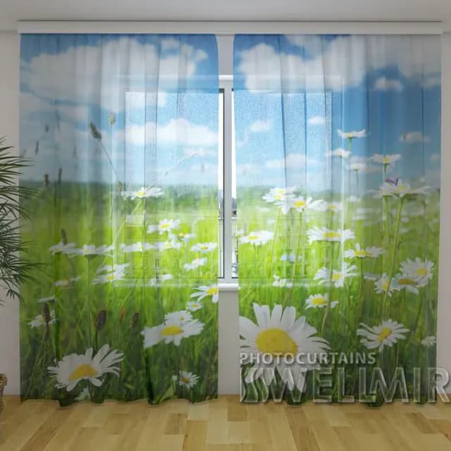 3D Gardin Kamomiller från Provence