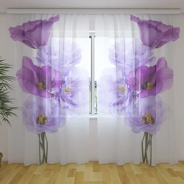 Fotogardin Musa