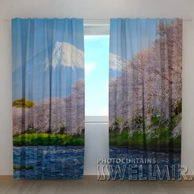 Fotogardin Fujiyama och Sakura