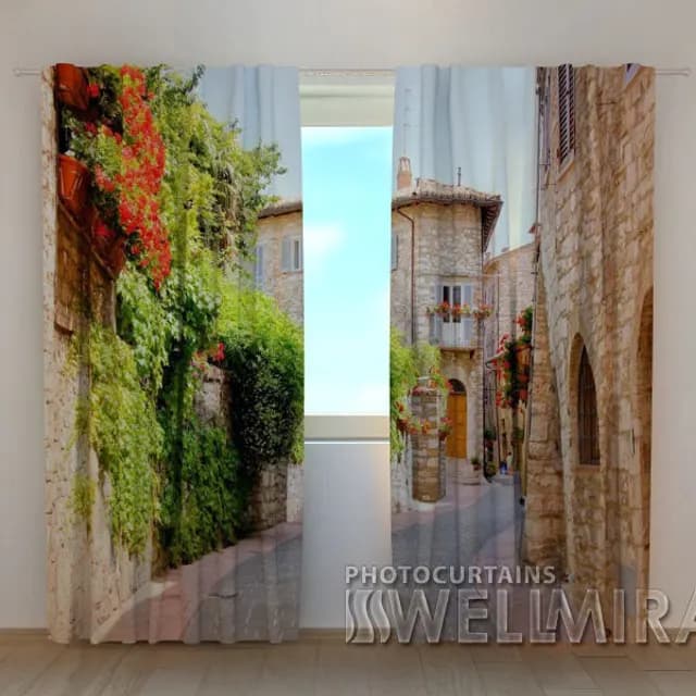 Fotogardin Gammal gata
