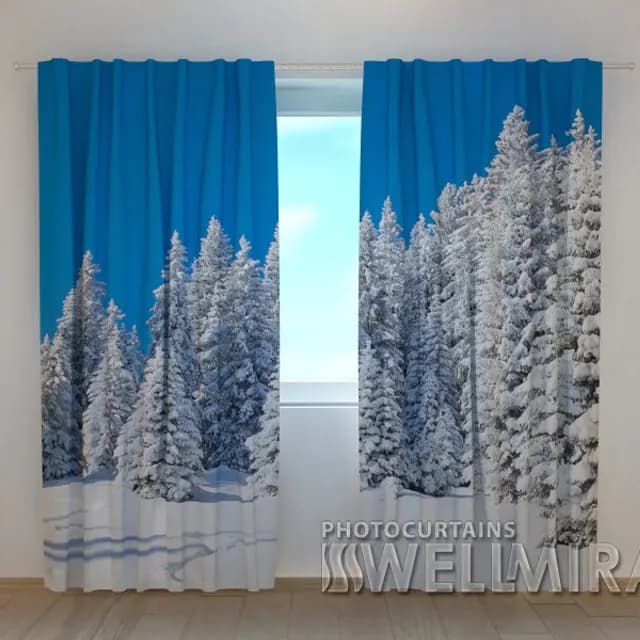 Fotogardin  Vinter i skogen 2