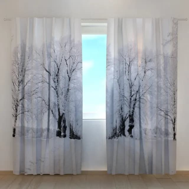 Fotogardin Vinterväg