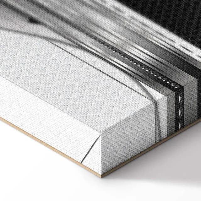 Canvas Print - Silver Cut