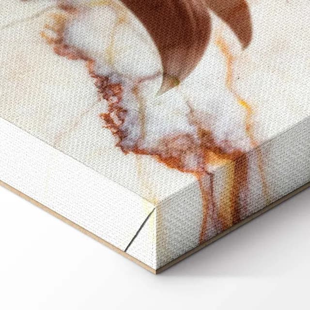 Canvas Print - Elegance of a Flower (1-part) - Delicate Lily on Marble in Sepia