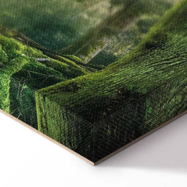 Canvas Print - The Beauty of the Forest