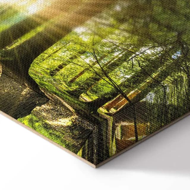 Canvas Print - Daylight