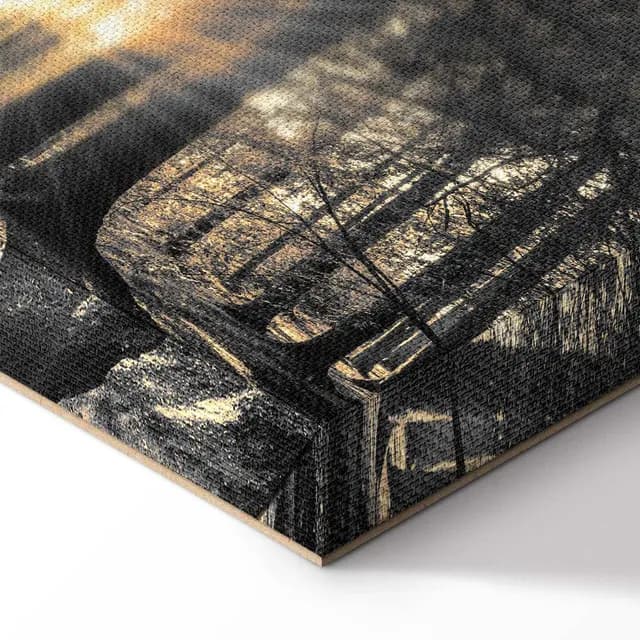 Canvas Print - Forest Sun