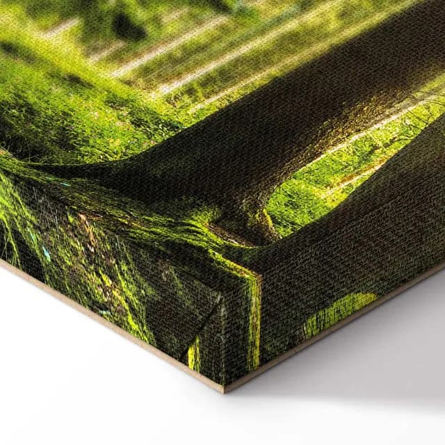 Canvas Print - Sunlight
