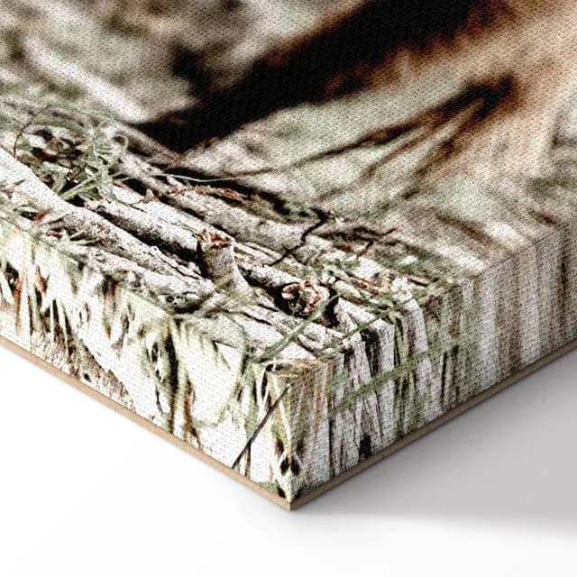 Canvas Print - Young Stag (1 Part) Vertical