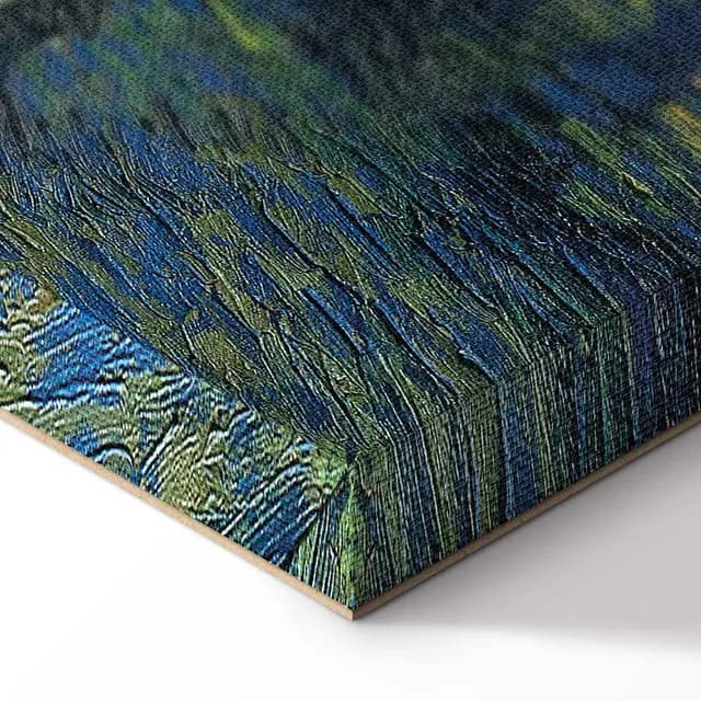 Canvas Print - Vincent van Gogh – Starry Night Over the Rhône