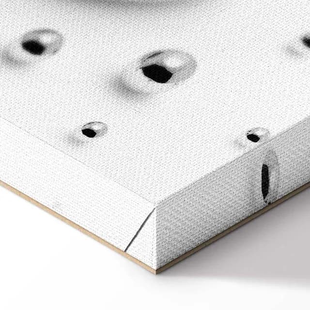 Canvas Print - {product_name}
