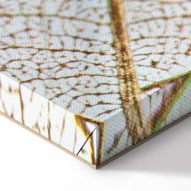 Canvas Print - {product_name}