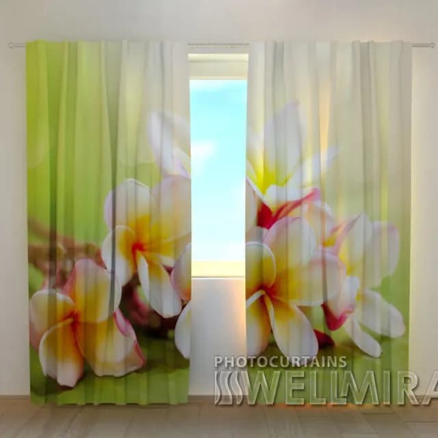 Fotogardin Vårblommor