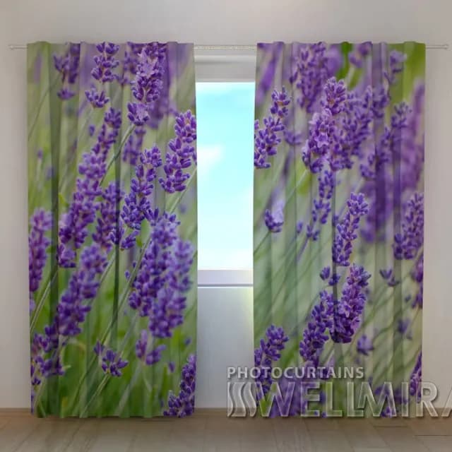 Fotogardin Vildblommor