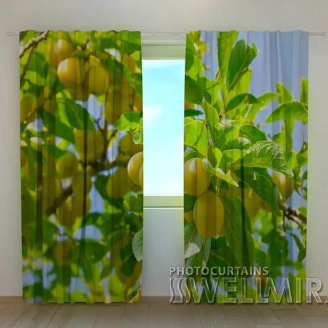 3D-gardin Aprikoser